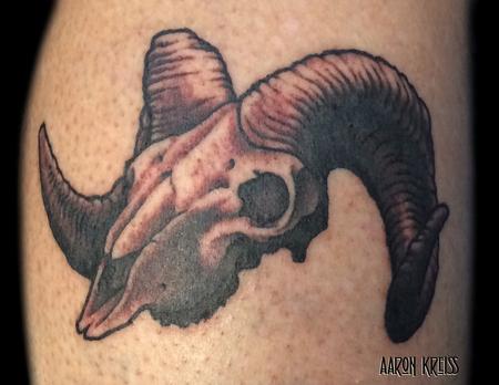 Tattoos - Bighorn sheep skull tattoo - 103576